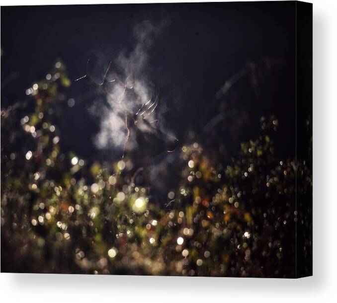 Bull Elk Canvas Print featuring the photograph Steaming Bull Elk with Iris Flare by Michael Dougherty