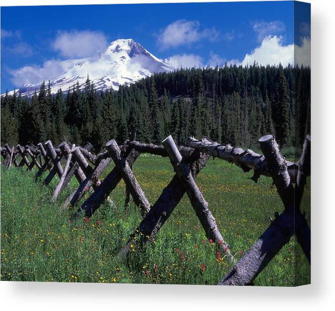 Mt. Hood Canvas Print featuring the photograph Summit Meadow by Ken Dietz