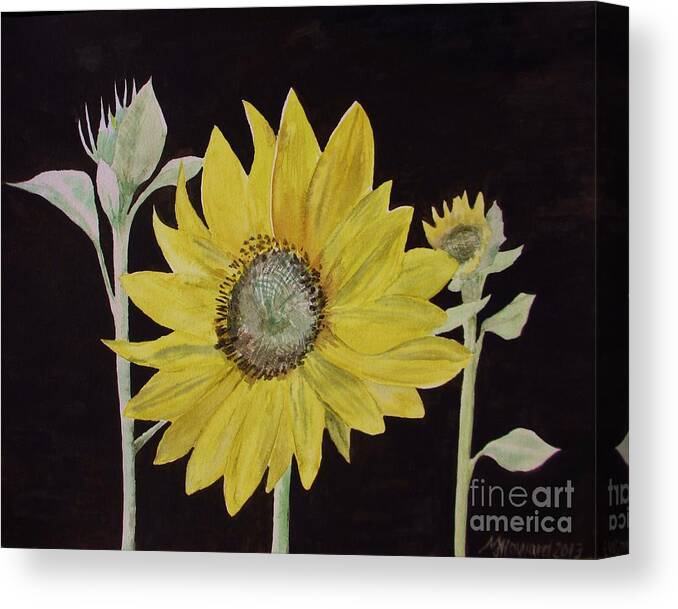 Sunflower Canvas Print featuring the painting Sunflower Study by Martin Howard