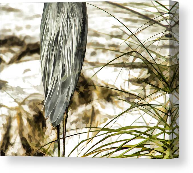 Great Blue Heron Canvas Print featuring the photograph Tail Feathers by Jerry Nettik