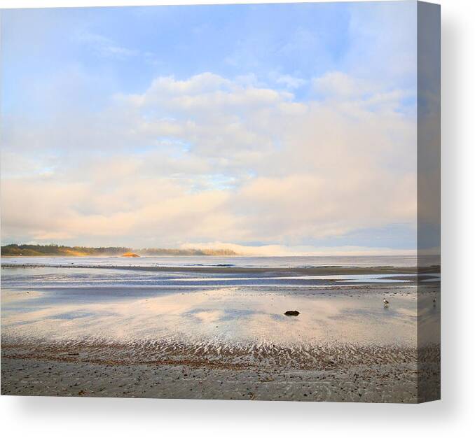 Beach Canvas Print featuring the photograph The Beach At Tofino by Theresa Tahara