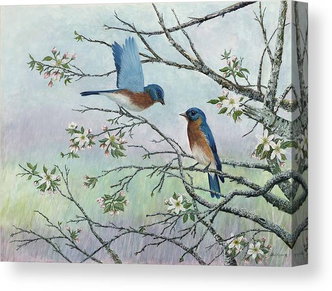 Bluebirds; Trees; Wildlife Canvas Print featuring the painting The Gift by Ben Kiger