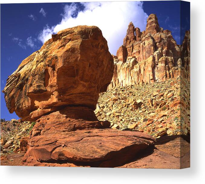 National Park Canvas Print featuring the photograph The Guard House by Ray Mathis