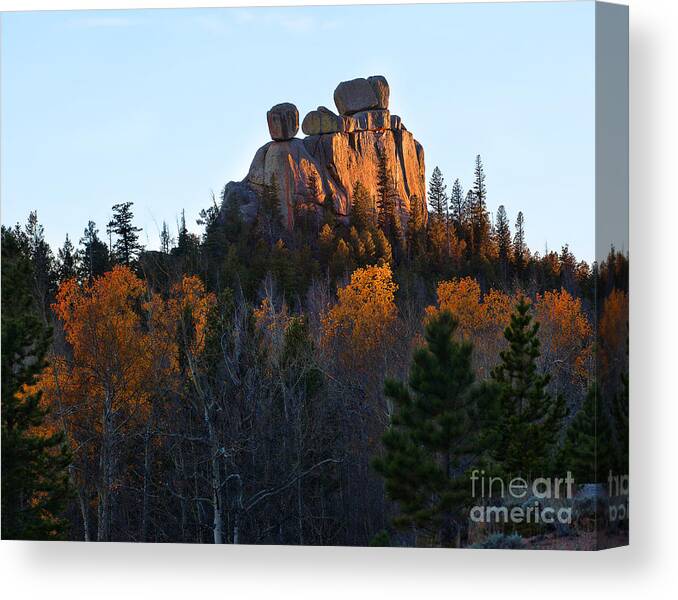 Autumn Colors Canvas Print featuring the photograph The Red Head by Jim Garrison