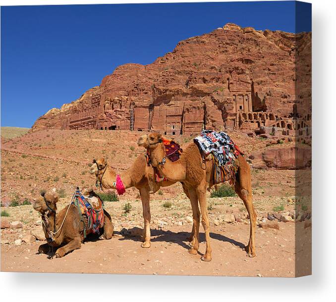 Petra Canvas Print featuring the photograph The Royal Tombs by Tony Beck