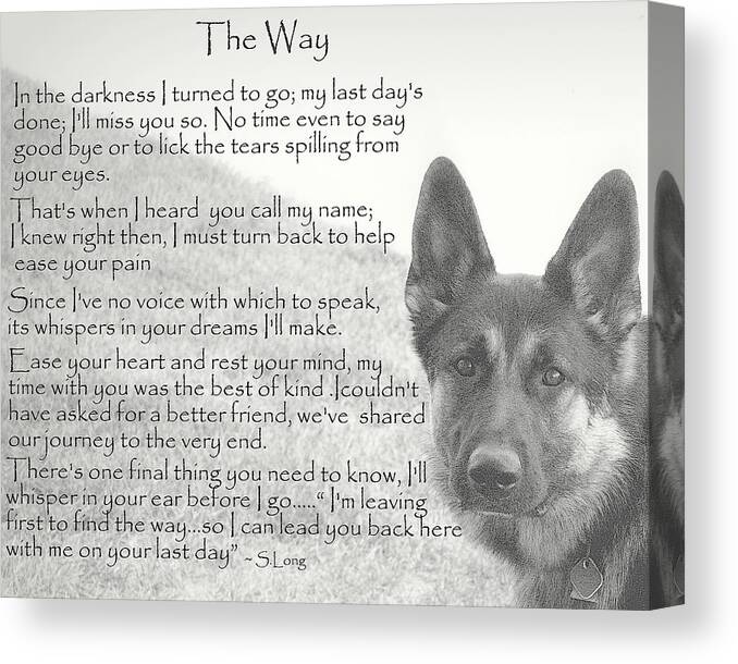 Quote Canvas Print featuring the photograph The Way by Sue Long