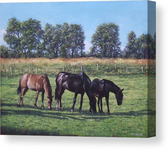 Horse Canvas Print featuring the painting Three horses in field by Martin Davey