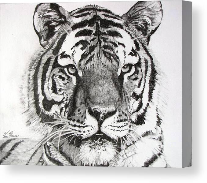 Tiger Canvas Print featuring the drawing Tiger on Piece of Paper by Kevin F Heuman