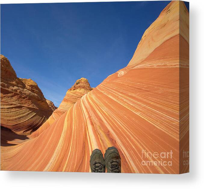 00345465 Canvas Print featuring the photograph Tired Hiker Paria Wilderness Arizona by Yva Momatiuk John Eastcott