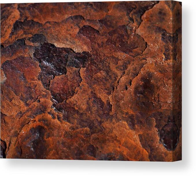 Rust Canvas Print featuring the photograph Topography of Rust by Rona Black