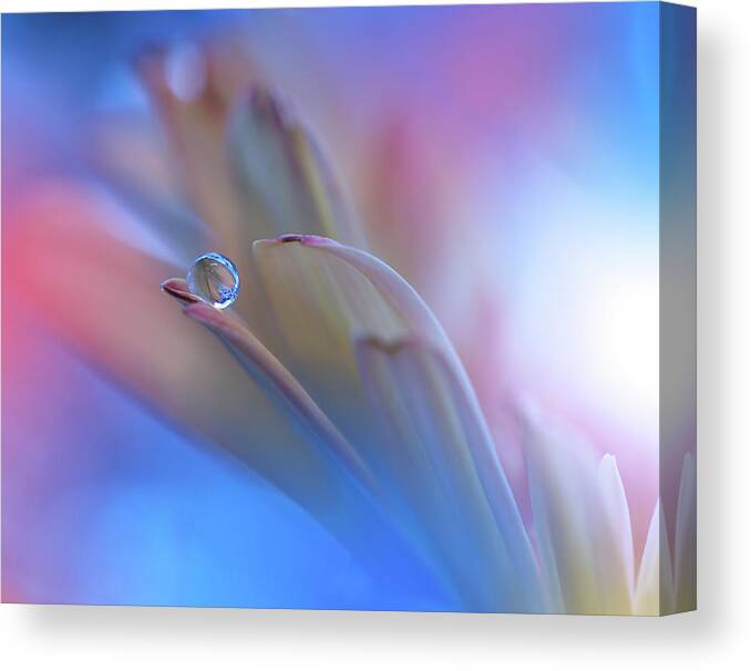 Macro Canvas Print featuring the photograph Touch Me Softly... by Juliana Nan