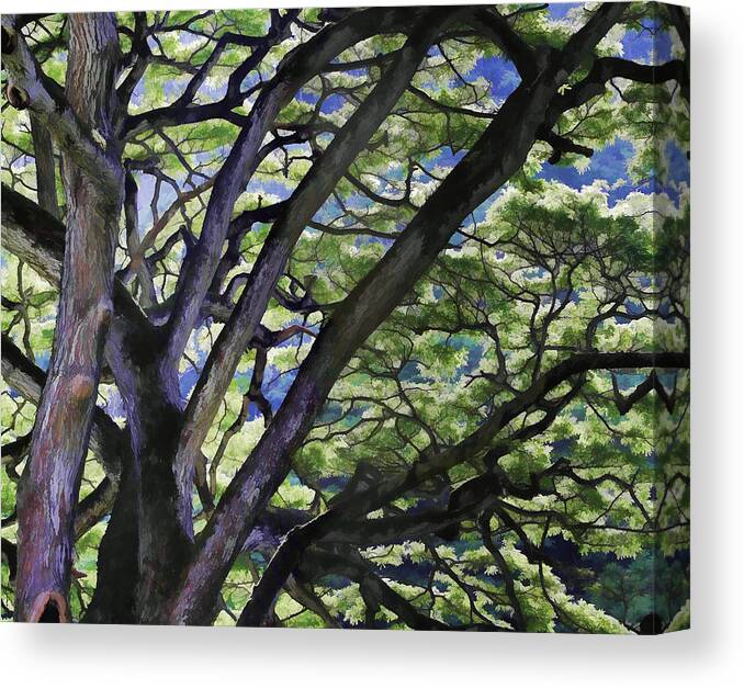 Tree At Waimea Bay Botanical Garden Canvas Print featuring the photograph Tree at Waimea Bay Botanical Garden-Oahu  by Douglas Barnard