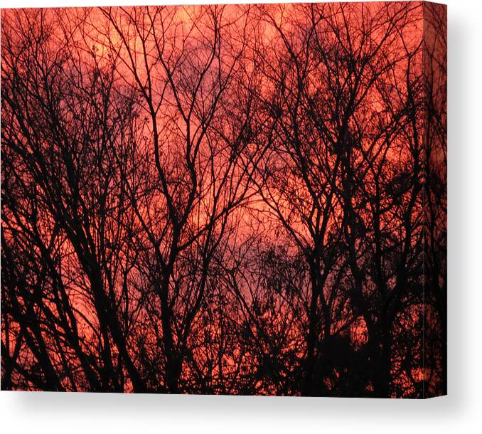 Red Sky Canvas Print featuring the photograph Trees at Sunset by Laurel Powell