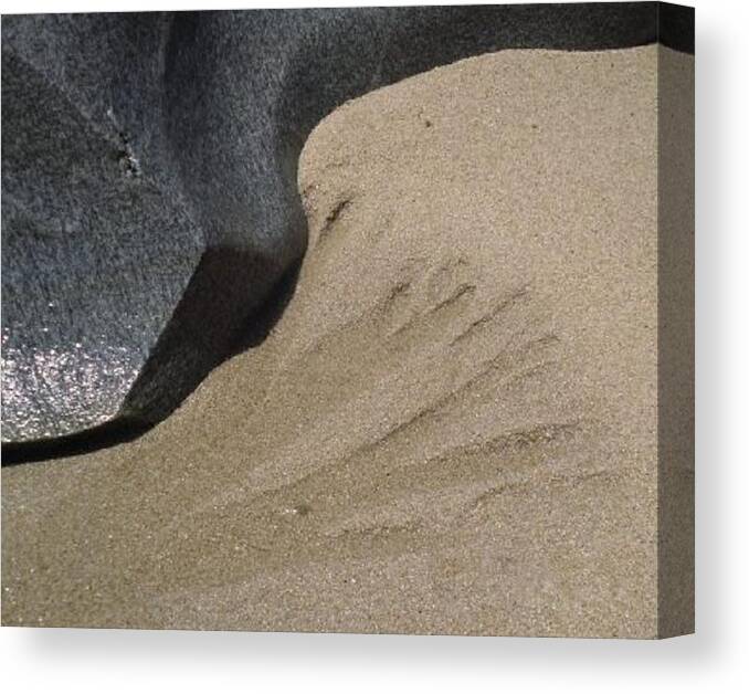 Beach Canvas Print featuring the photograph Trickling Away by Jayne Abbott Ribeiro