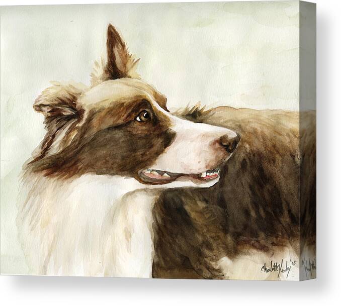 Border Collie Canvas Print featuring the painting True Devotion by Charlotte Yealey