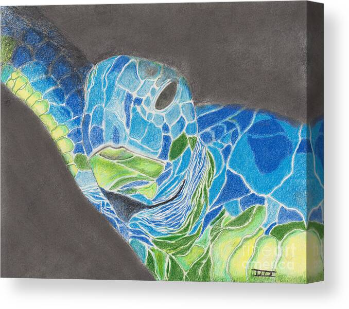 Sea Turtle Canvas Print featuring the drawing Turtle in Blue and Green by David Jackson