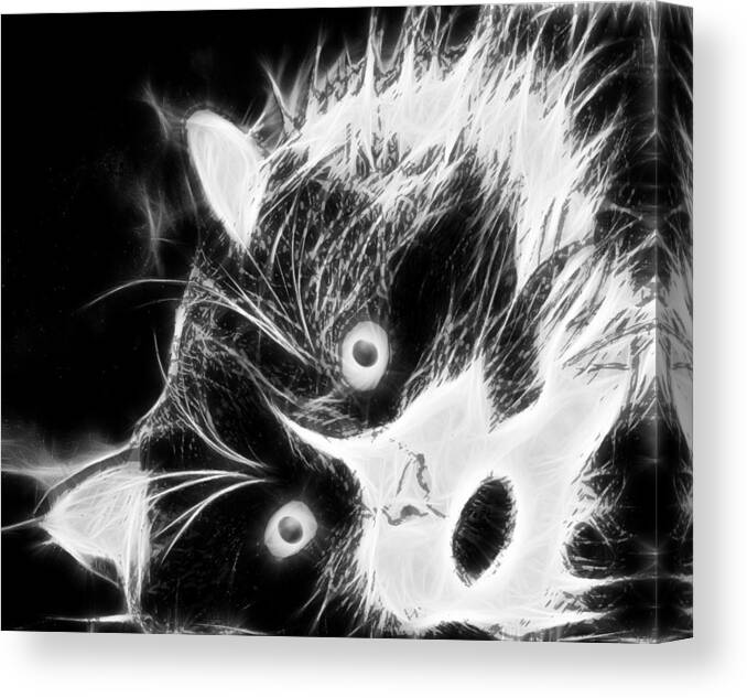 Design Canvas Print featuring the digital art Tuxedo Cat in Black and White by Marlene Watson