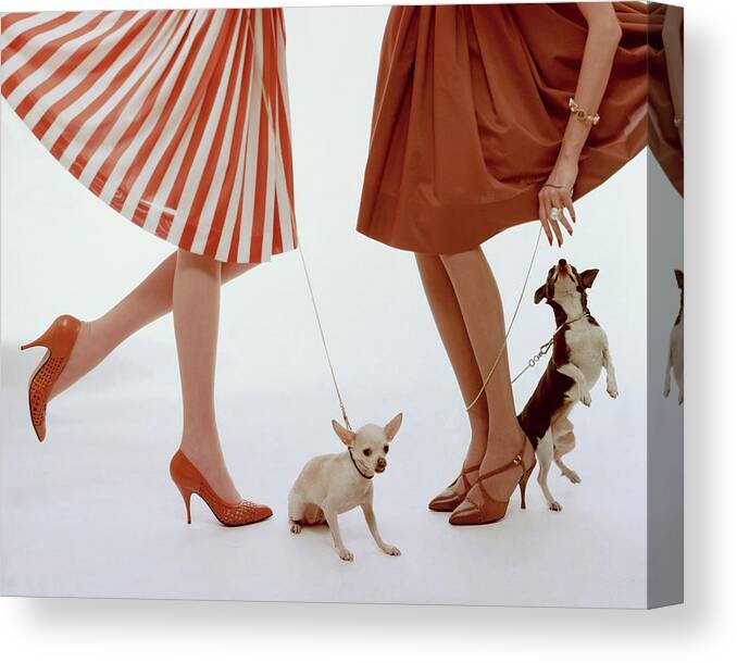 Accessories Canvas Print featuring the photograph Two Models With Dogs by William Bell