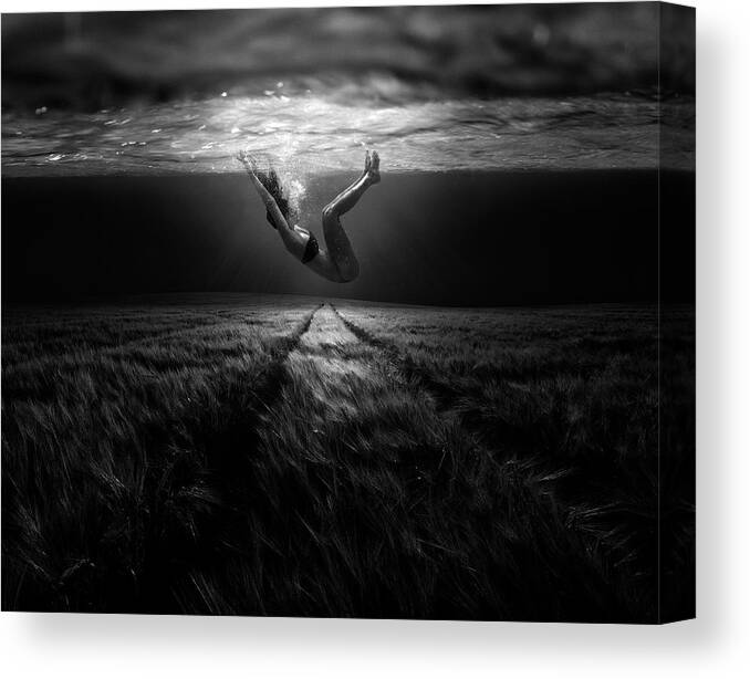 Underwater Canvas Print featuring the photograph Underwaterlandream by Peter Majkut