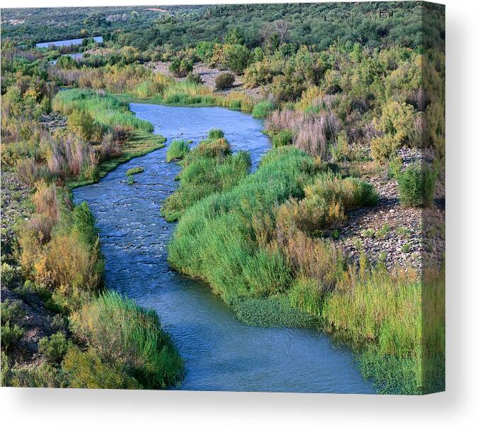 Arizona Canvas Print featuring the photograph Verde River Z by Tom Daniel