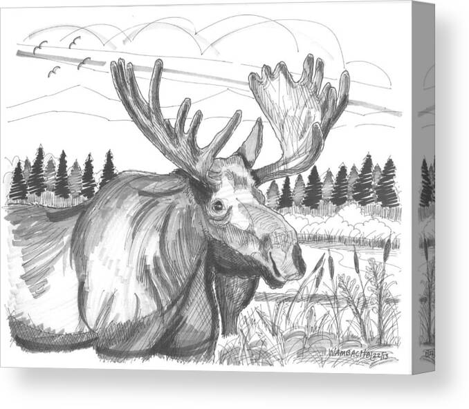 Vermont Bull Moose Canvas Print featuring the drawing Vermont Bull Moose by Richard Wambach