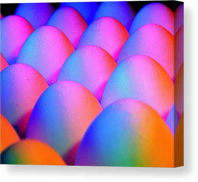 Egg Canvas Print featuring the photograph View Of Rows Of Chicken Eggs by Martin Bond/science Photo Library