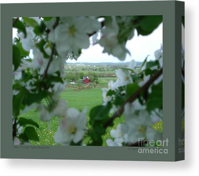 Apple Blossoms Canvas Print featuring the photograph View Through Apple Blossoms by Patricia Overmoyer