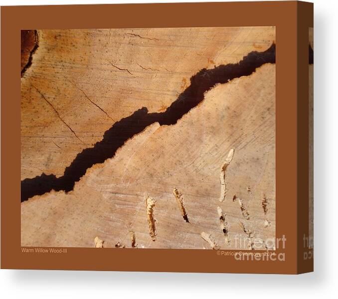 Wood Canvas Print featuring the photograph Warm Willow Wood-III by Patricia Overmoyer