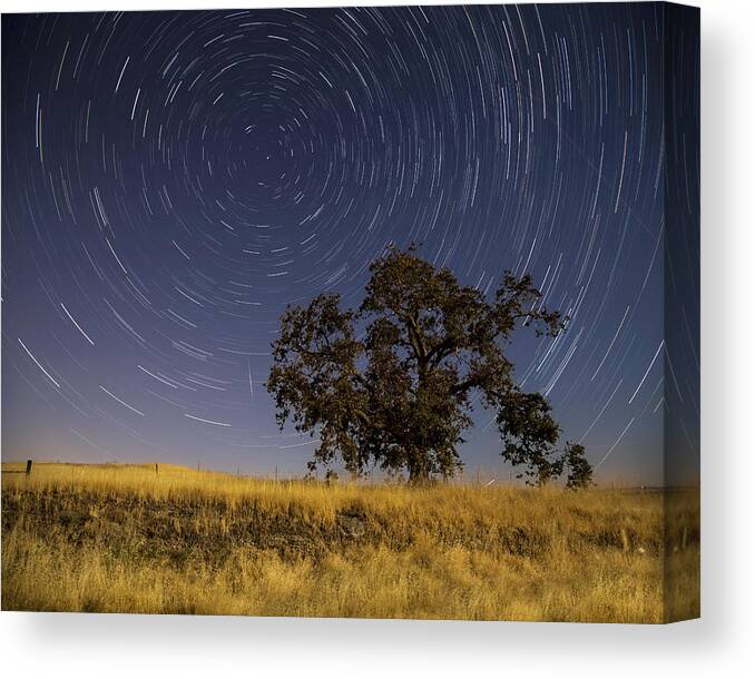 Sacramento Canvas Print featuring the photograph Watching Polaris by Lee Harland