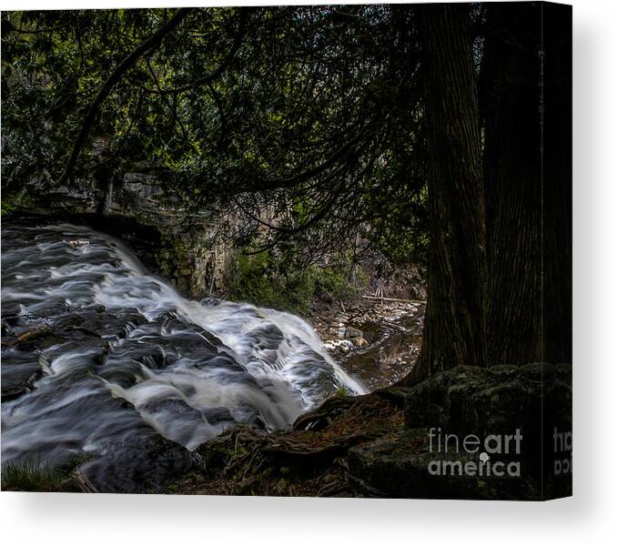 Waterfalls Canvas Print featuring the photograph Waterfalls 3 by Ronald Grogan