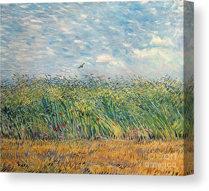 Post-impressionist Canvas Print featuring the painting Wheatfield with Lark by Vincent van Gogh