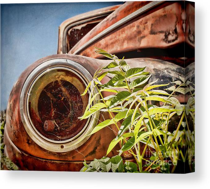 Rusty Canvas Print featuring the photograph Where is the Headlight by Diane Enright