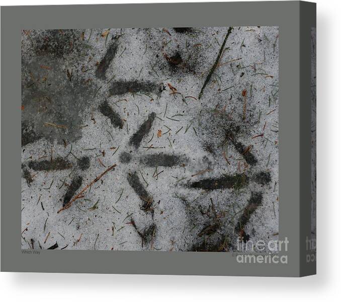 Abstract Canvas Print featuring the photograph Which Way by Patricia Overmoyer