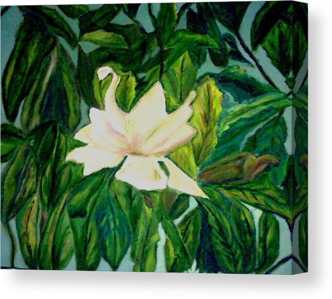 Flower Canvas Print featuring the painting Williamsburg Magnolia by Suzanne Berthier