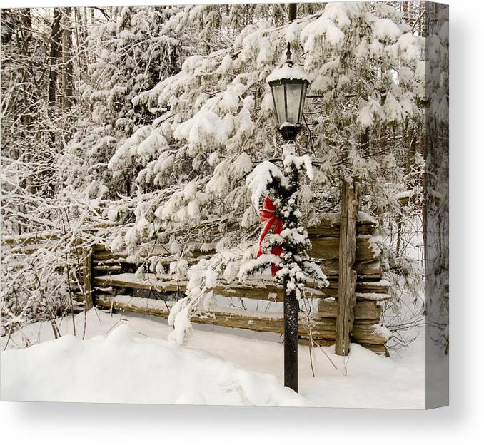 Winter Landscape Canvas Print featuring the photograph Winter by Nick Mares