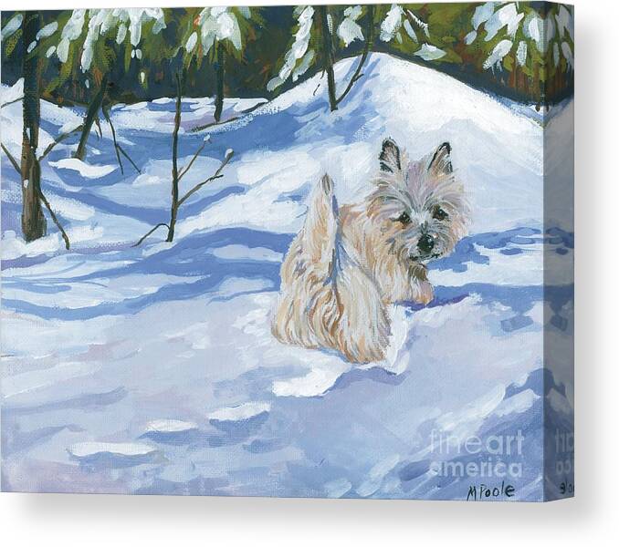 Cairn Terrier Canvas Print featuring the painting Winter Romp by Molly Poole