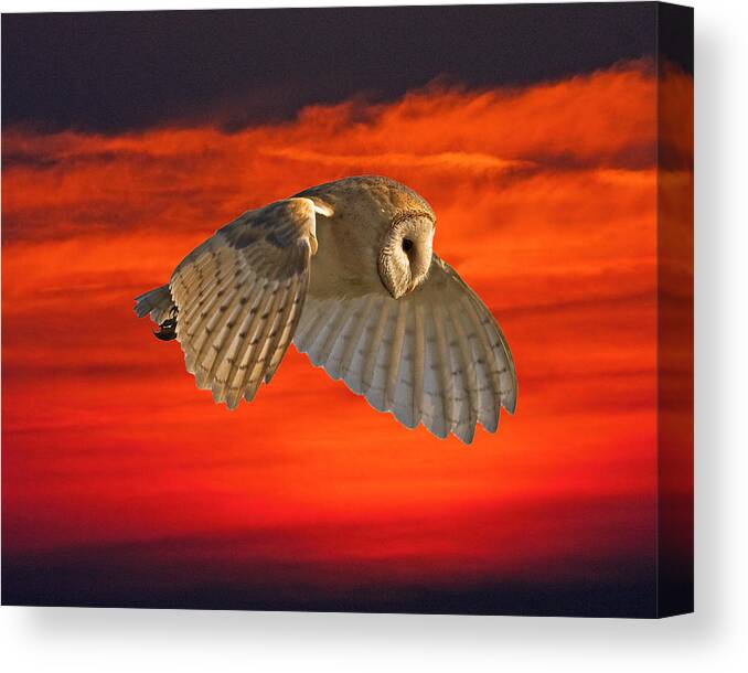 Barn Canvas Print featuring the photograph Wishful Thinking by Paul Scoullar