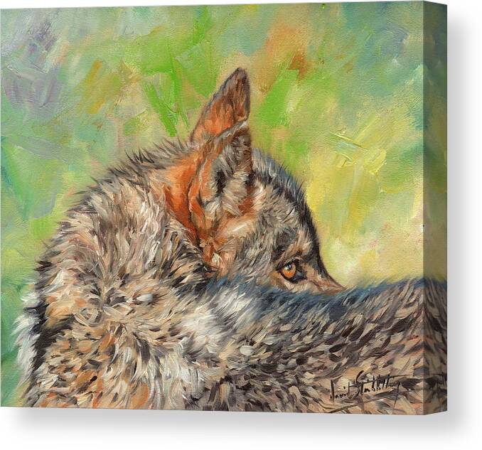 Wolf Canvas Print featuring the painting Wolf by David Stribbling