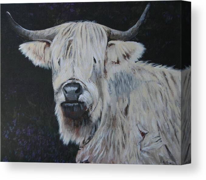 Cow Canvas Print featuring the painting Yes I Can see by Betty-Anne McDonald
