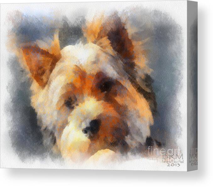 Yorkshire Terrier Canvas Print featuring the photograph Yorkie Love by Barbara R MacPhail