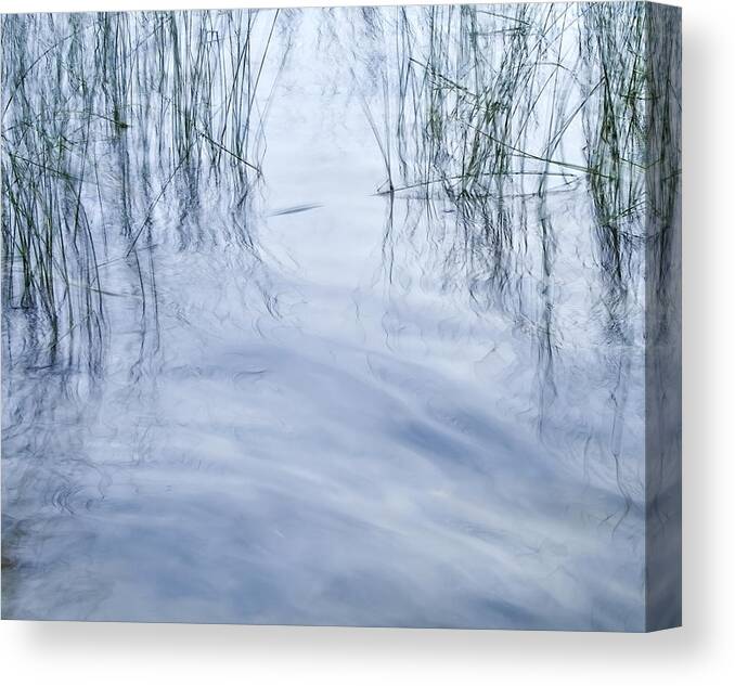 Water Canvas Print featuring the photograph Zen Reeds by Theresa Tahara