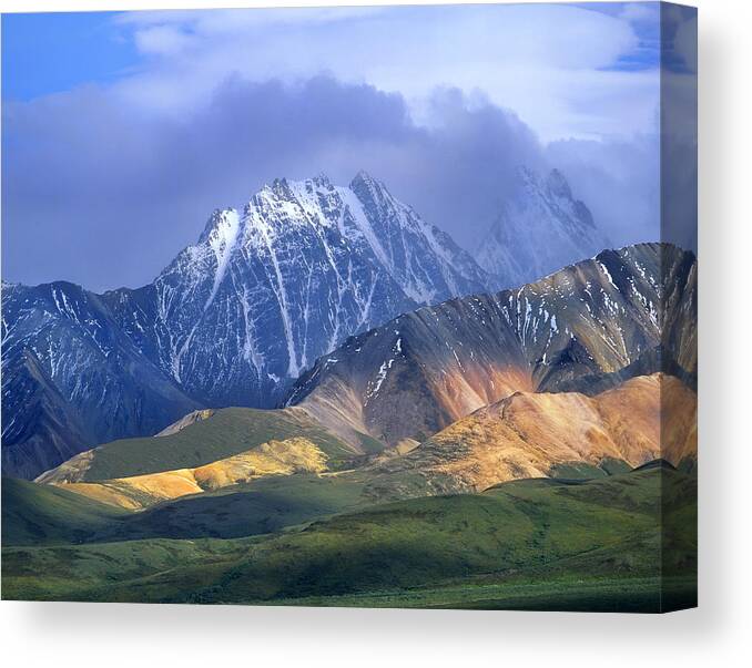 00175652 Canvas Print featuring the photograph Alaska Range And Foothills Denali #1 by Tim Fitzharris