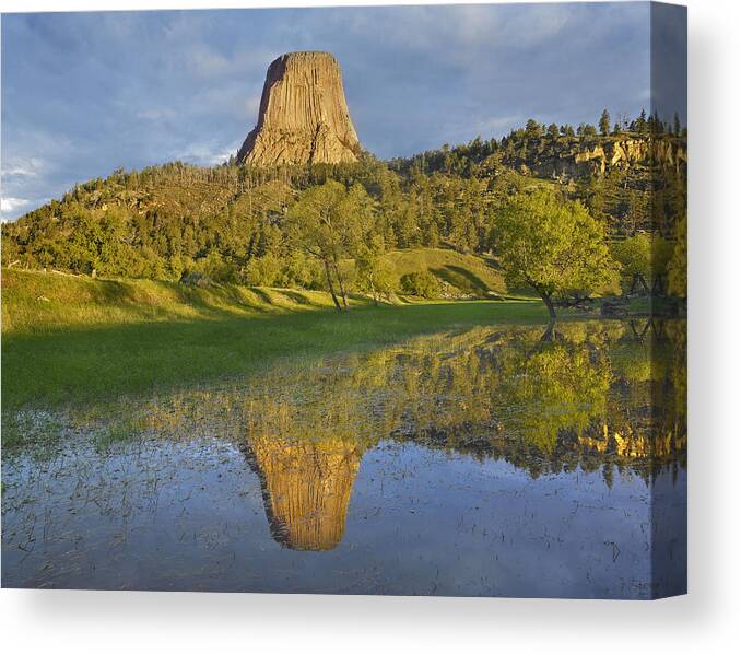 00177049 Canvas Print featuring the photograph Devils Tower National Monument Showing #1 by Tim Fitzharris