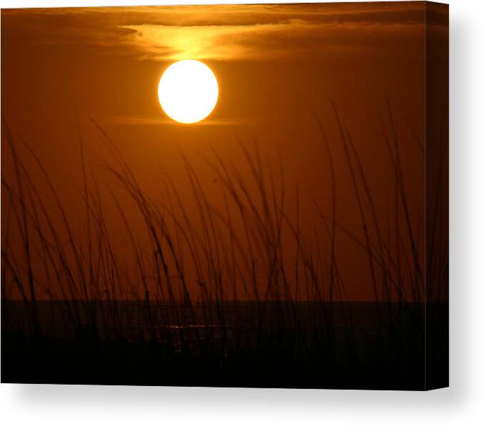 Florida Sunrise Canvas Print featuring the photograph Florida Sunrise #1 by Jeanne Andrews