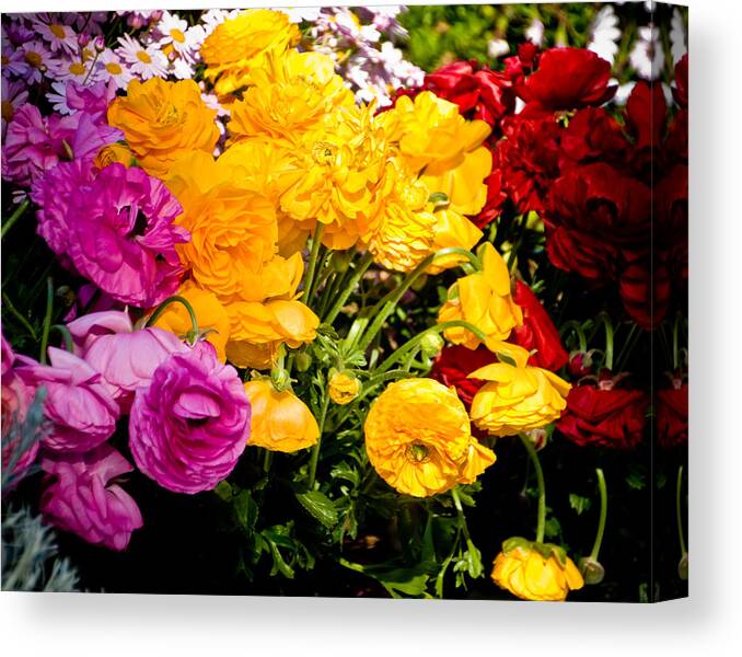 Flowers Canvas Print featuring the photograph Flowers #1 by Mickey Clausen