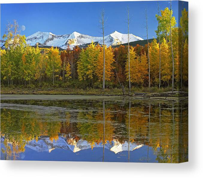 00175175 Canvas Print featuring the photograph Full Moon Over East Beckwith Mountain #1 by Tim Fitzharris