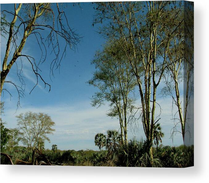 Landscape Canvas Print featuring the photograph South Africa #1 by Joseph G Holland