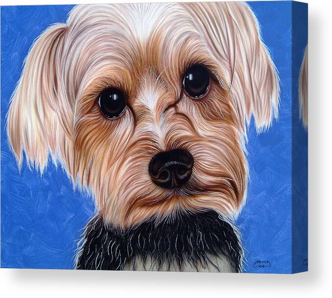 Small Dogs/toy Dogs/dogs/small Pets/cute Canvas Print featuring the painting Terrier #1 by Dan Menta