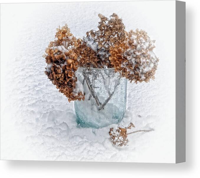 Winter Canvas Print featuring the photograph Winter Doldrums #1 by Robin-Lee Vieira