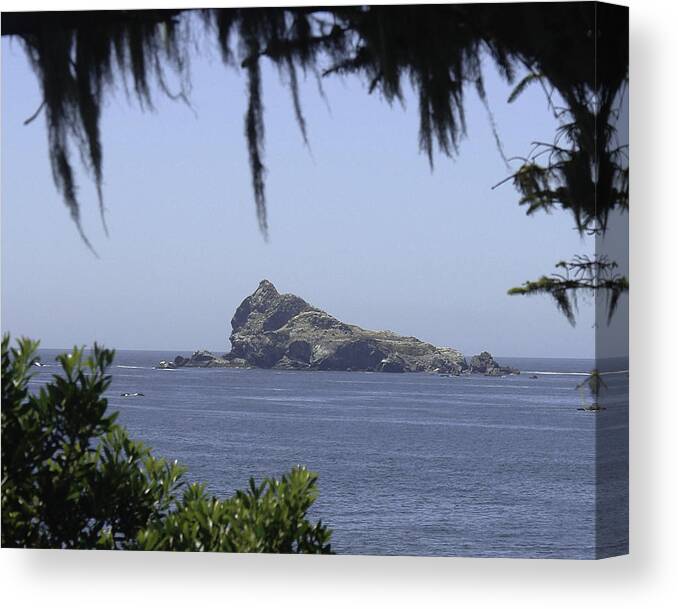 Castle Rock Canvas Print featuring the photograph Castle Rock #2 by Betty Depee